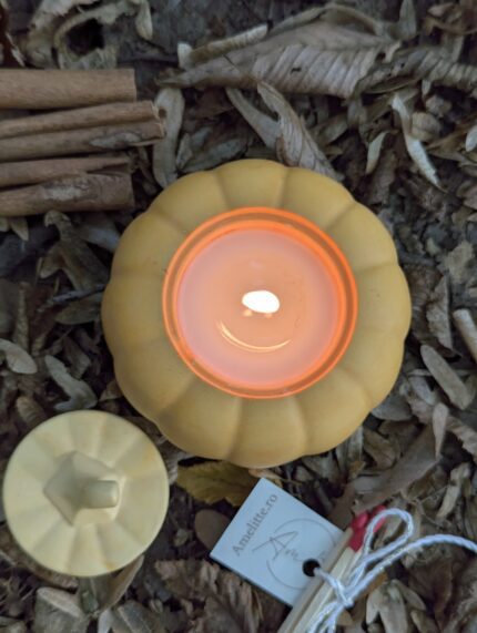 Lumanare Spiced Pumpkin 2