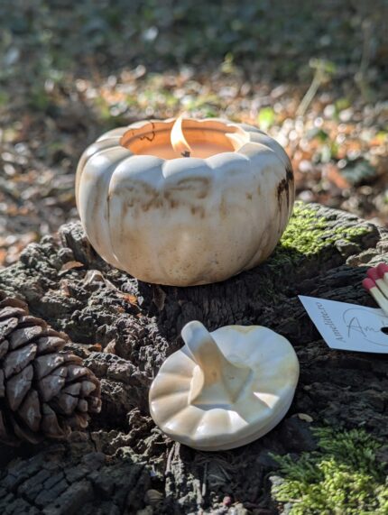 Lumanare Harvest Pumpkin 1